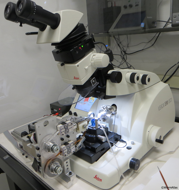 .   EMATUMFIG 2: ATUM mounted onto side of a Leica Ultracut ultramicrotome. 